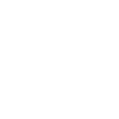 White trophy icon