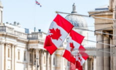 Canadian flags